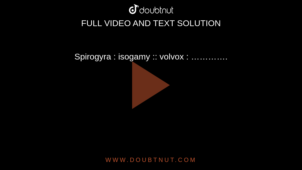 Spirogyra : isogamy :: volvox : ………….