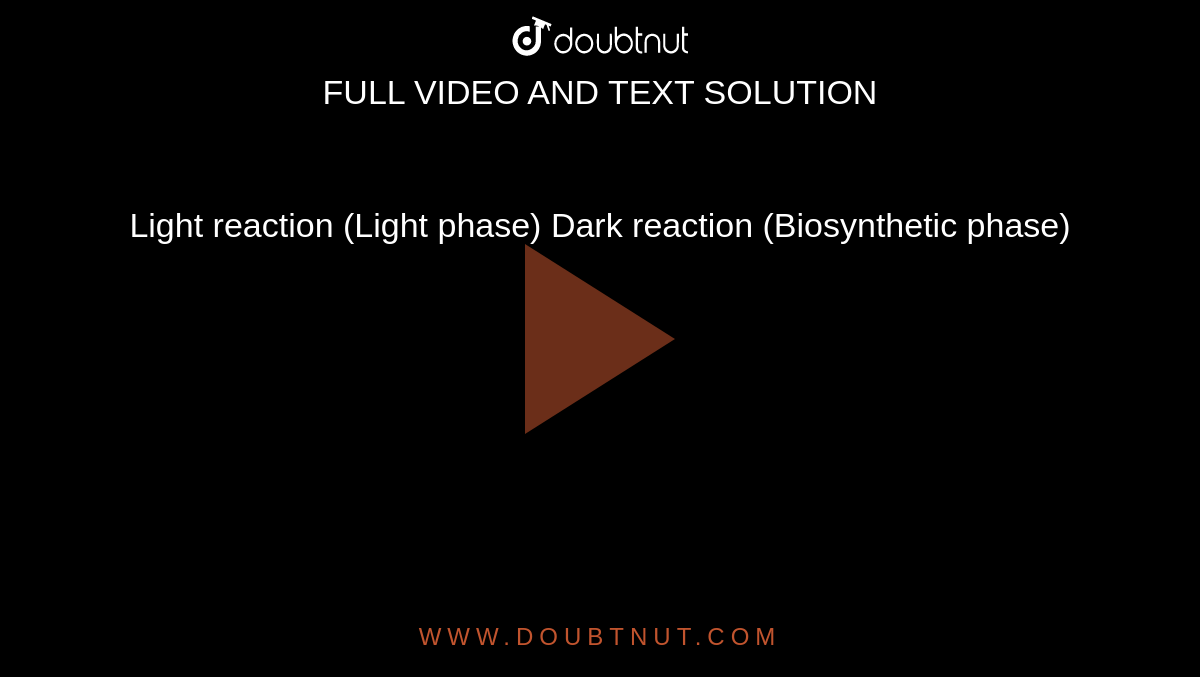 Light reaction (Light phase) Dark reaction (Biosynthetic phase) 