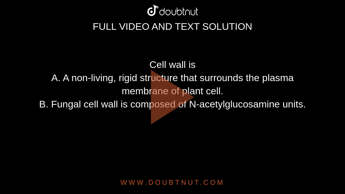 Cell wall is <BR> A.   A non-living, rigid structure that surrounds the plasma membrane of plant cell. <BR> B.    Fungal cell wall is composed of N-acetylglucosamine units.