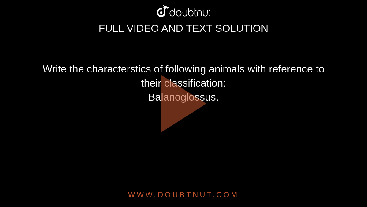 Write the characterstics of following animals with reference to their classification:  <br> Balanoglossus.