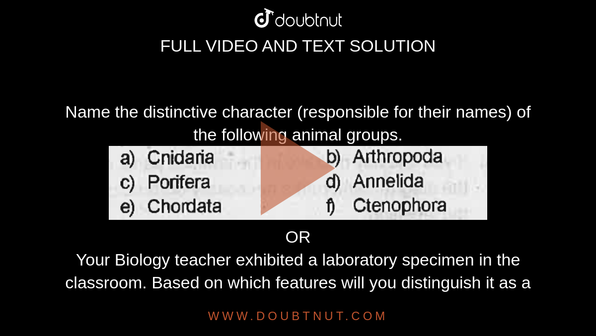 Name the distinctive character (responsible for their names) of the  following animal groups. OR Your Biology teacher exhibited a laboratory  specimen in the classroom. Based on which features will you distinguish it