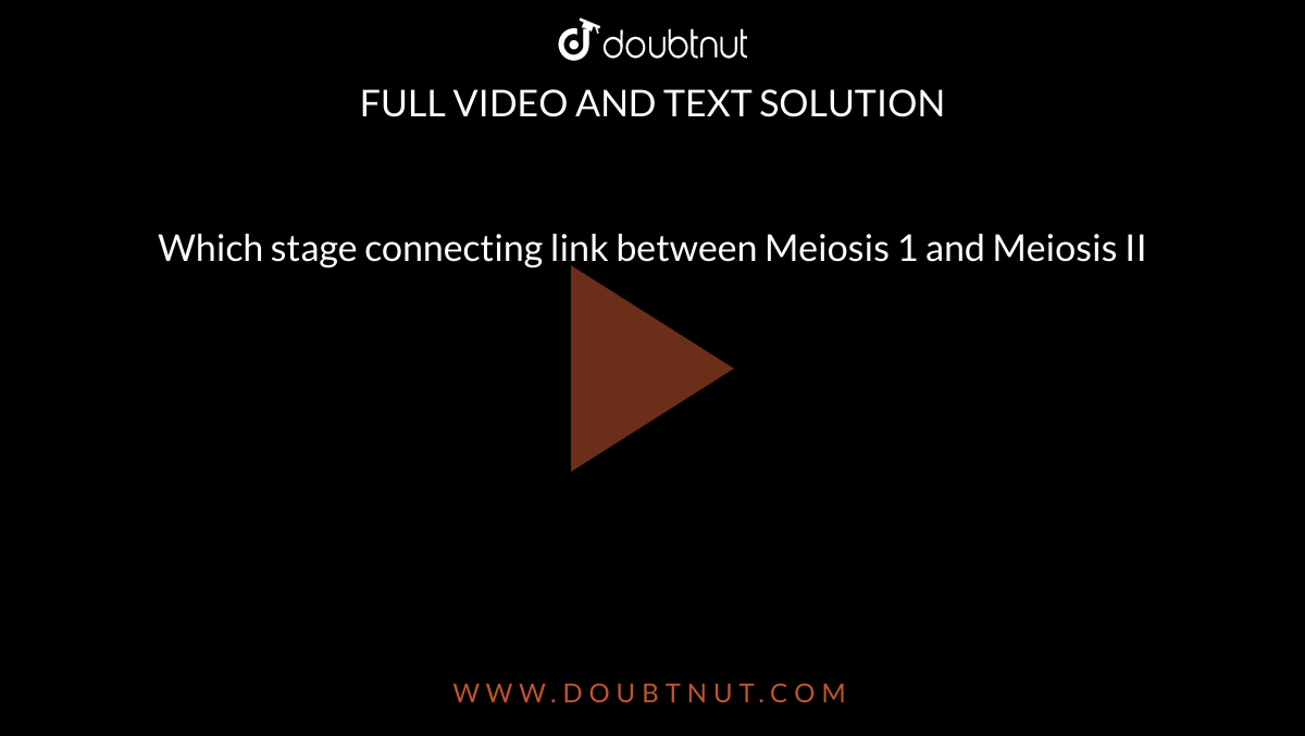 Which stage connecting link between Meiosis 1 and Meiosis II 