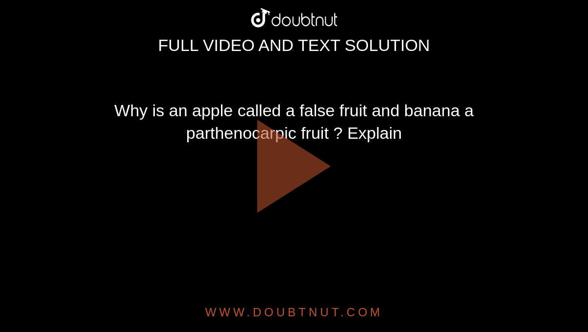 Why is an apple called a false fruit and banana a parthenocarpic fruit ? Explain