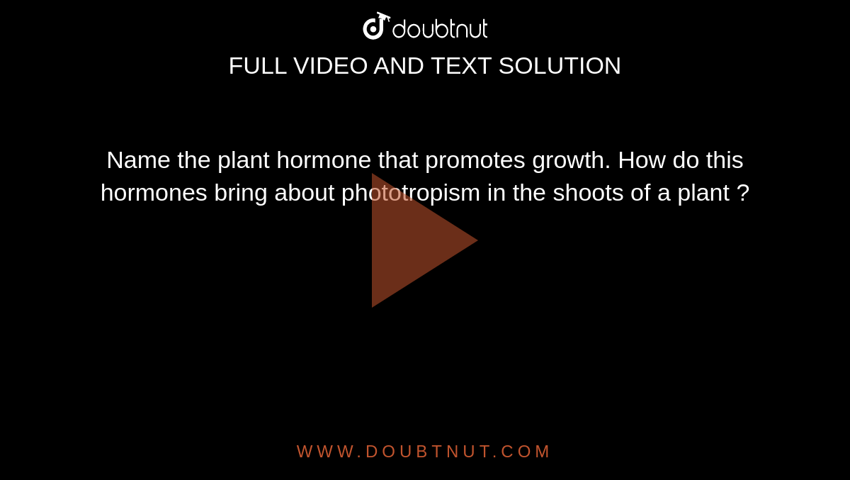 Name the plant hormone that promotes growth. How do this hormones bring about phototropism  in the shoots of a plant ? 