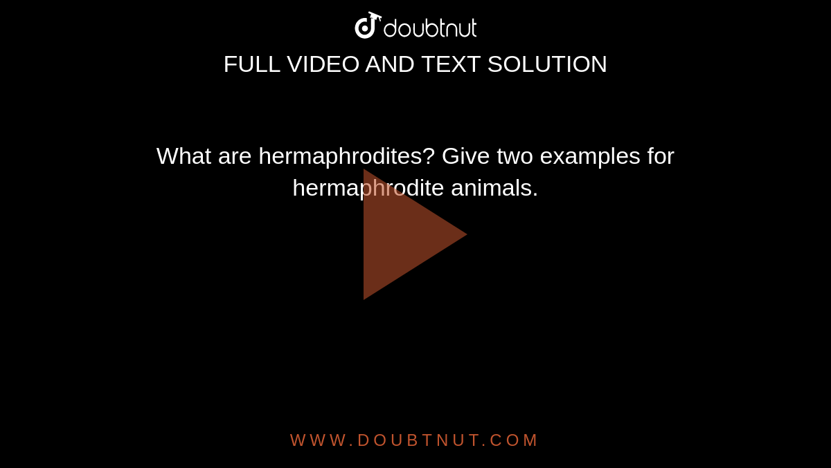 What are hermaphrodites? Give two examples for hermaphrodite animals.