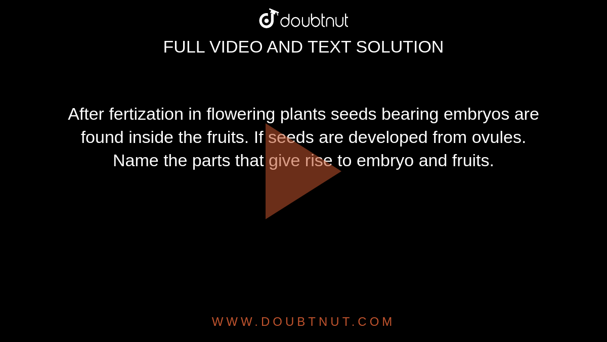 After fertization in flowering plants seeds bearing embryos are found inside the fruits. If seeds are developed from ovules. Name the parts that give rise to embryo and fruits.