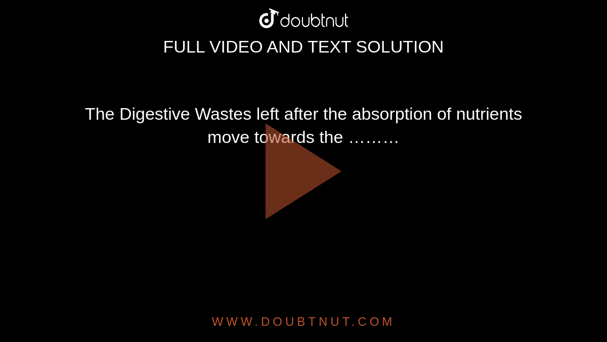 The Digestive Wastes left after the absorption of nutrients move towards the ……… 