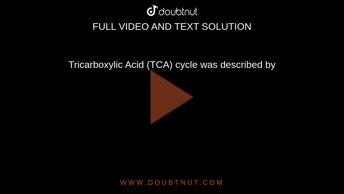 Tricarboxylic Acid (TCA) cycle was described by