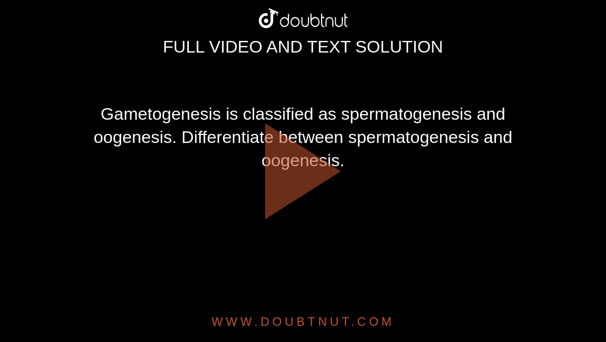 Gametogenesis is classified as spermatogenesis and oogenesis. Differentiate between spermatogenesis and oogenesis.