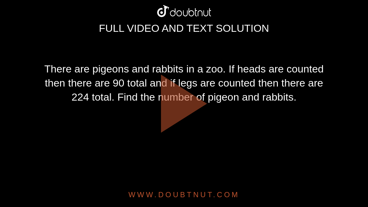 In A Zoo There Are Rabbits And Pigeons In A Zoo There Are Rabbits And Pigeons