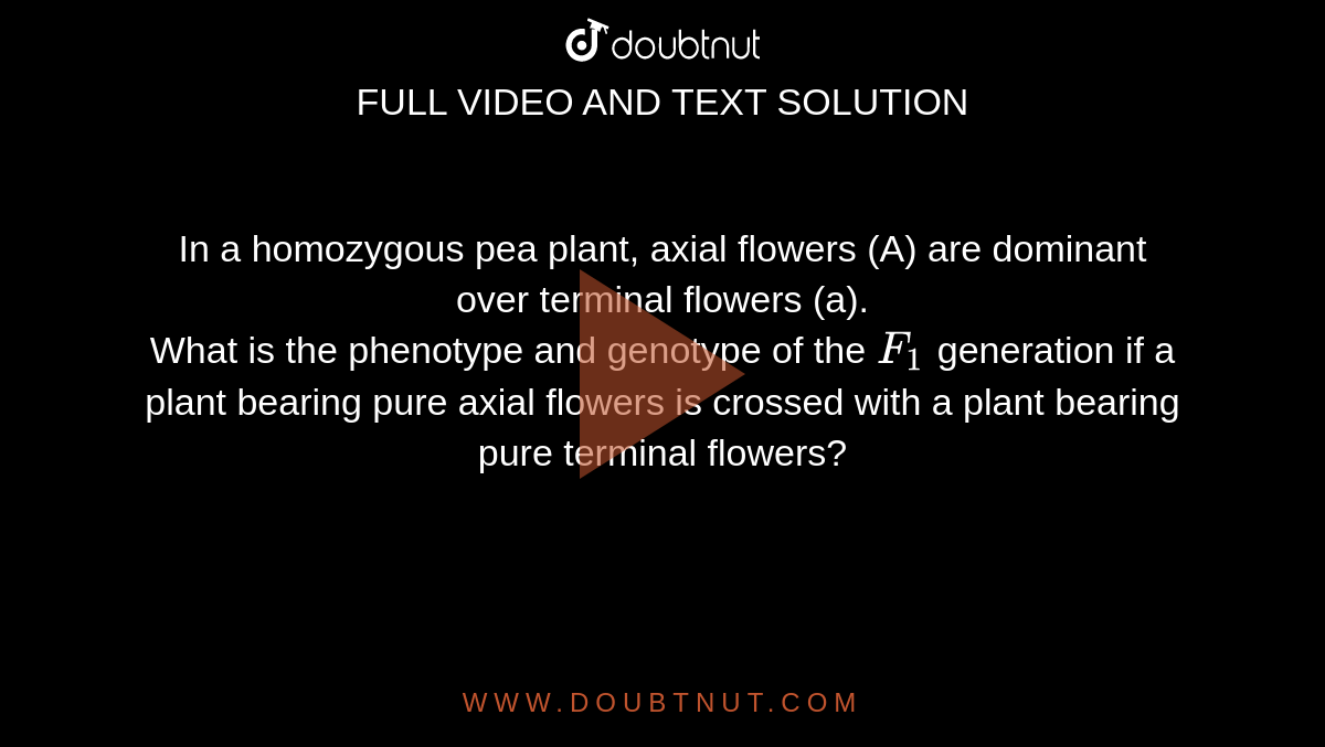 In a homozygous pea plant, axial flowers (A) are dominant over terminal