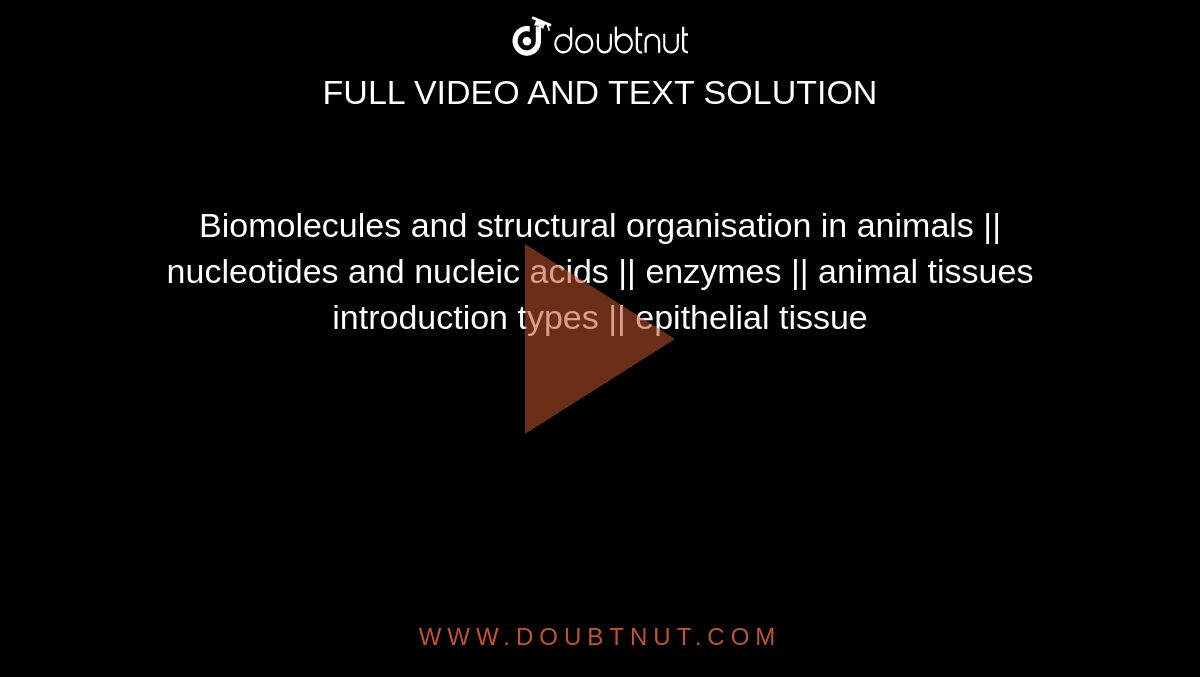 Biomolecules and structural organisation in animals || nucleotides and  nucleic acids || enzymes || animal tissues introduction types || epithelial  tissue