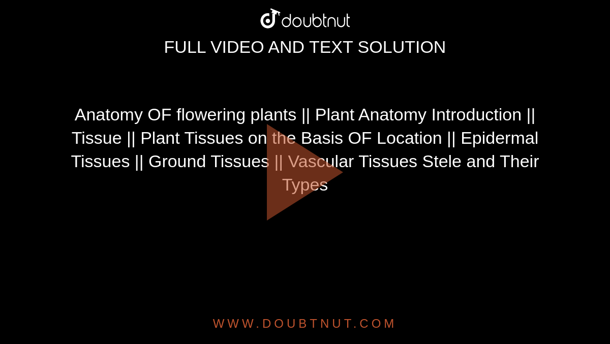 Anatomy OF flowering plants || Plant Anatomy Introduction || Tissue || Plant Tissues on the Basis OF Location || Epidermal Tissues  || Ground Tissues || Vascular Tissues Stele and Their Types