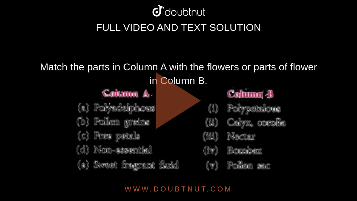Match the parts in Column A with the flowers or parts of flower in Column B. <br> <img src="https://doubtnut-static.s.llnwi.net/static/physics_images/SEL_HSV_ICSE_BIO_IX_C04_E02_006_Q01.png" width="80%"> 