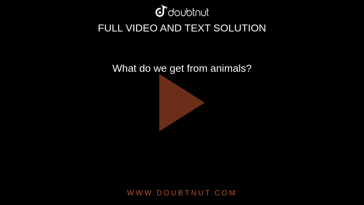 What do we get from animals? What do we get from animals?
