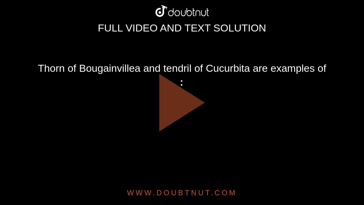 Thorn of Bougainvillea and tendril of Cucurbita are examples of `:`