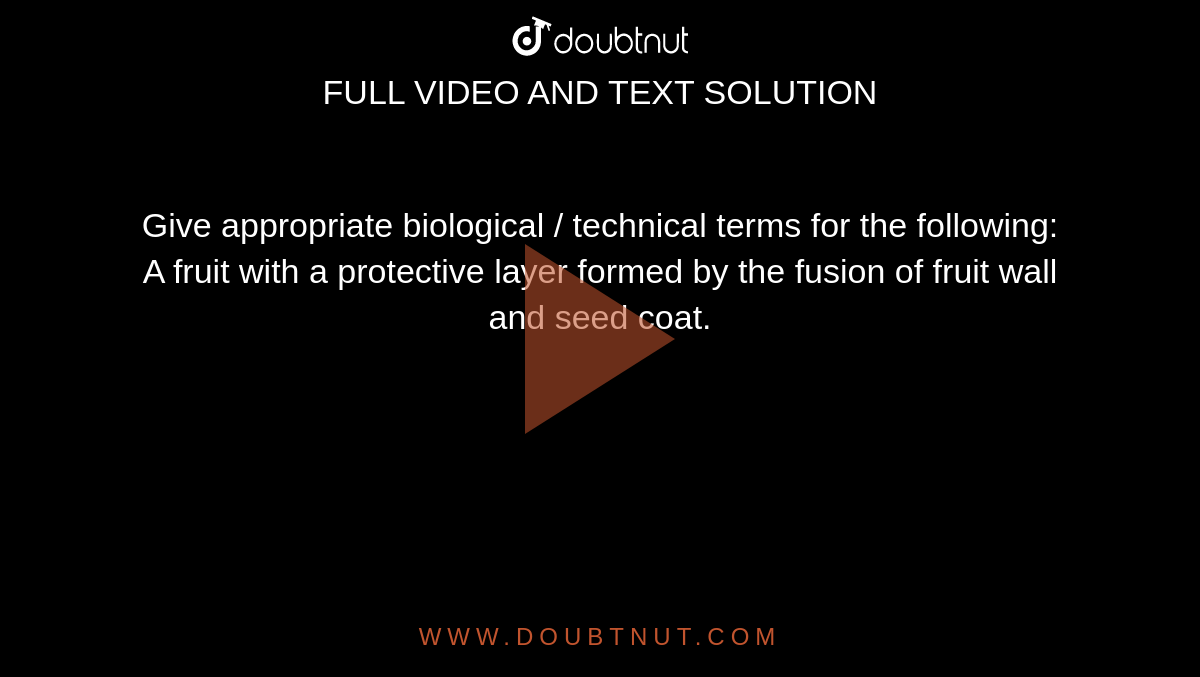 Give appropriate biological / technical terms for the following: <br> A fruit with a protective layer formed by the  fusion of fruit wall and seed coat. 