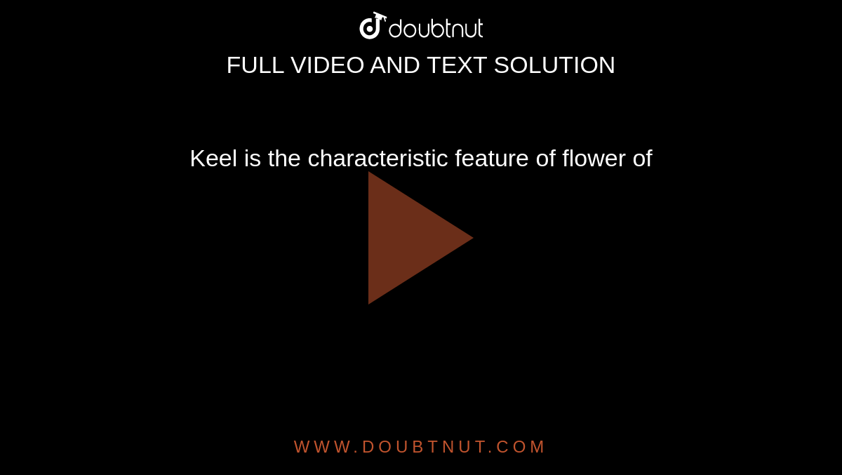 Keel Is The Characteristic Feature Of Which Flower at Donald Roth blog