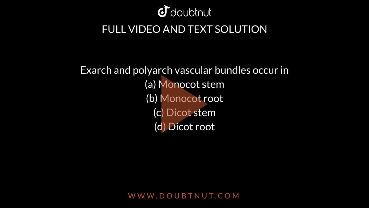 Exarch and polyarch vascular bundles occur in<br>(a) Monocot stem<br>

(b) Monocot root<br>

(c) Dicot stem<br>

(d) Dicot root