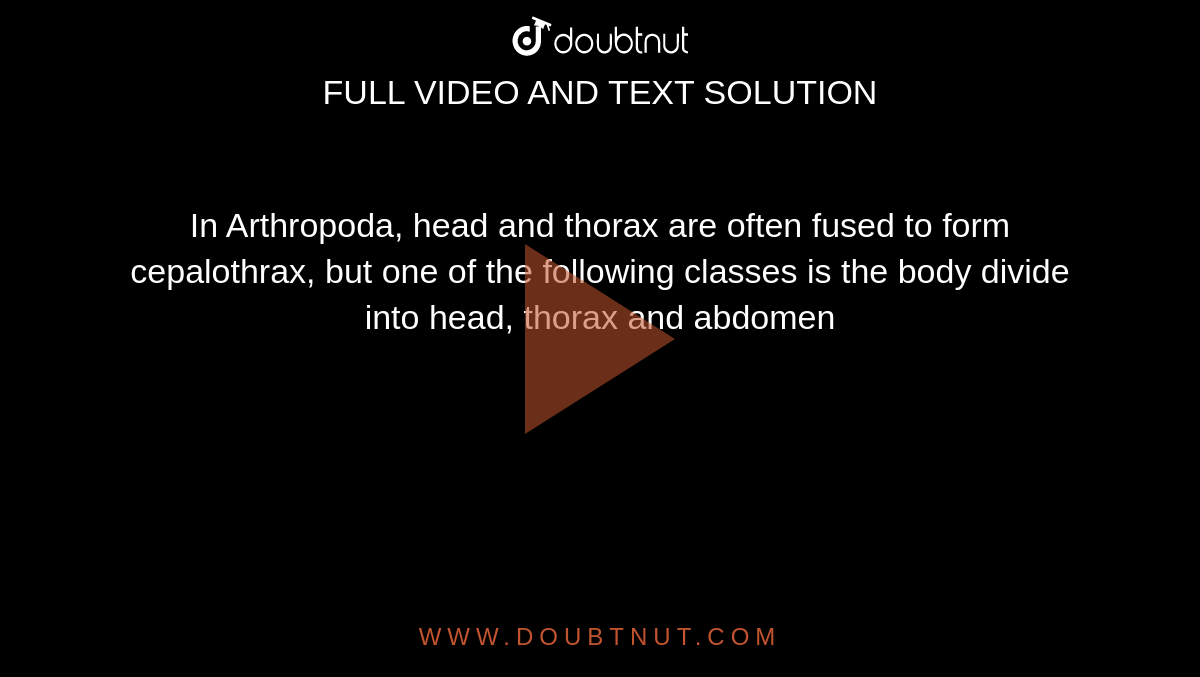 In Arthropoda, head and thorax are often fused to form cepalothrax, but one of the following classes is the body divide into head, thorax and abdomen
