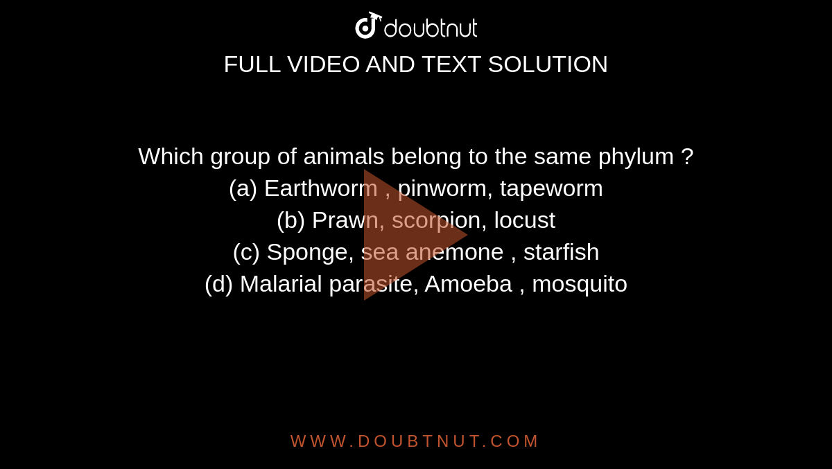 Which group of animals belong to the same phylum ? (a) Earthworm , pinworm, tapeworm (b) Prawn, scorpion, locust (c) Sponge, sea anemone , starfish (d) Malarial parasite, Amoeba , mosquito Which group of animals belong to the same phylum ? (a) Earthworm , pinworm, tapeworm (b) Prawn, scorpion, locust (c) Sponge, sea anemone , starfish (d) Malarial parasite, Amoeba , mosquito