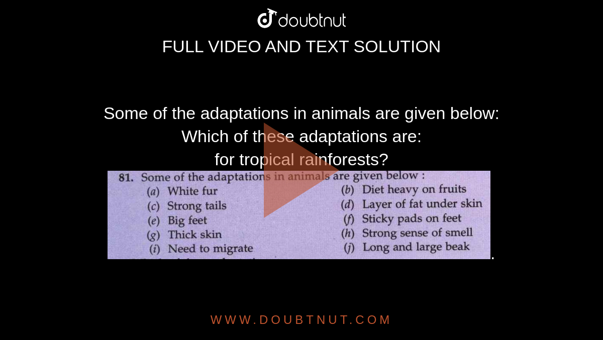 Some of the adaptations in animals are given below: Which of these  adaptations are: for tropical rainforests? .