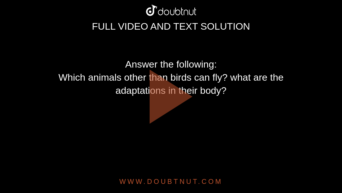 Answer the following: Which animals other than birds can fly? what are the  adaptations in their body?