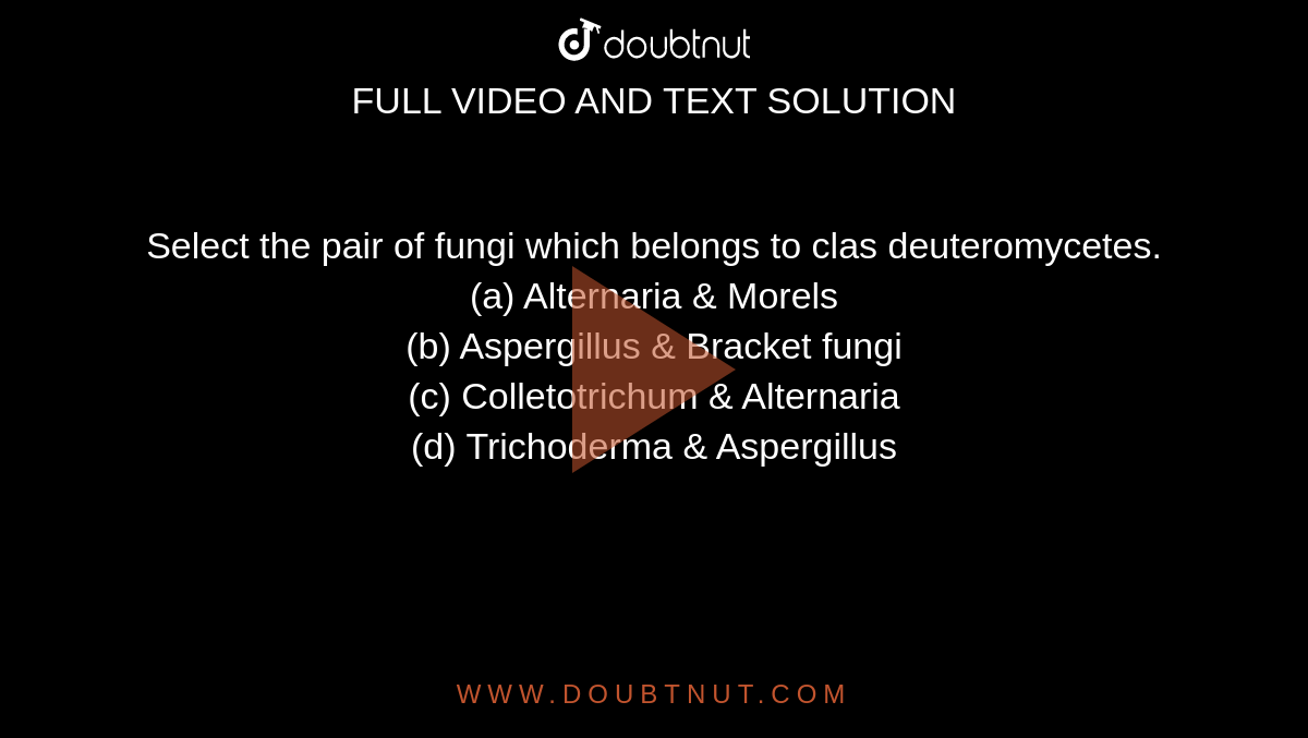 Select the pair of fungi which belongs to clas deuteromycetes.<br>(a) Alternaria & Morels<br>

(b) Aspergillus & Bracket fungi<br>

(c) Colletotrichum & Alternaria<br>

(d) Trichoderma & Aspergillus