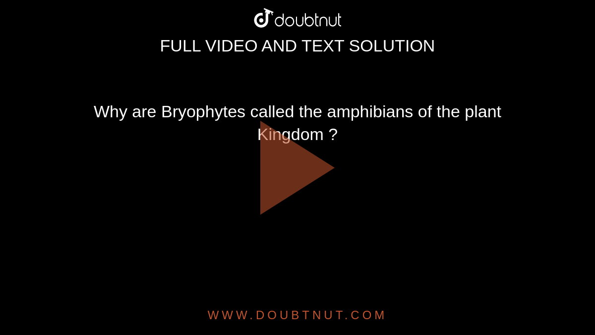 Why are Bryophytes called the amphibians of the plant Kingdom