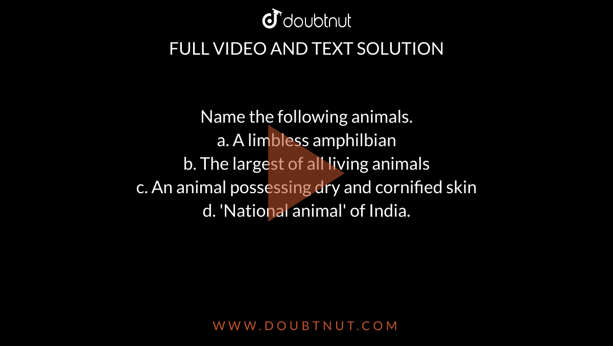 Name the following animals. a. A limbless amphilbian b. The largest of all  living animals c. An animal possessing dry and cornified skin d. 'National  animal' of India.