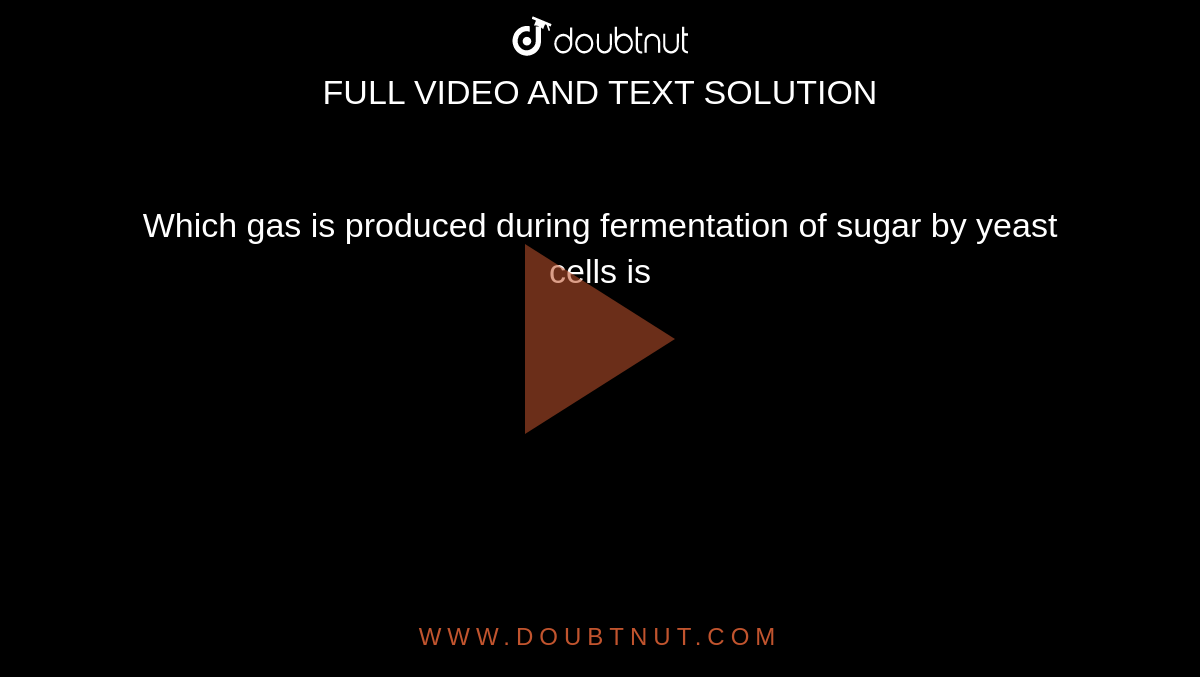 Which gas is produced during fermentation of sugar by yeast cells is