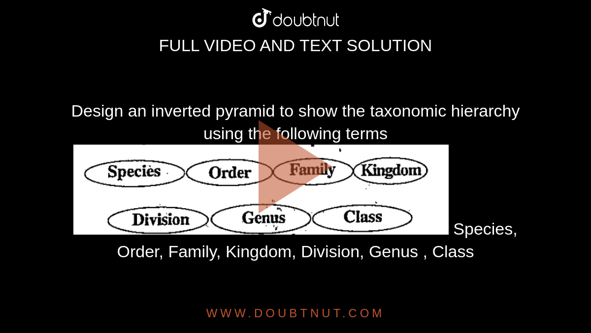 Design an inverted pyramid to show the  taxonomic hierarchy using the following terms<br><img src="https://doubtnut-static.s.llnwi.net/static/physics_images/VPU_HSS_BIO_XI_C01_E02_026_Q01.png" width="80%">
Species, Order, Family, Kingdom, Division, Genus , Class