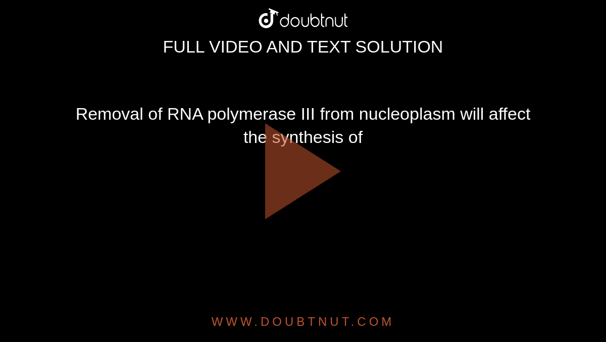 Removal of RNA polymerase III from nucleoplasm will affect the synthesis of