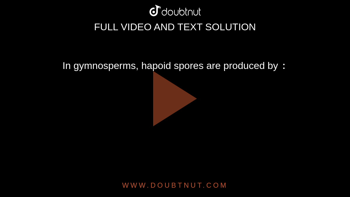 In gymnosperms, hapoid spores are produced by `:`