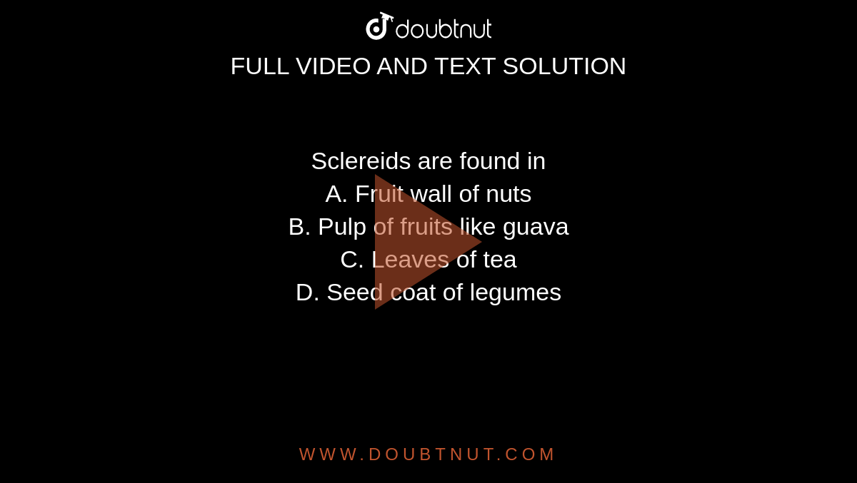 Sclereids are found in  <br> A. Fruit wall of nuts  <br> B. Pulp of fruits like guava <br> C. Leaves of tea <br> D. Seed coat of legumes 