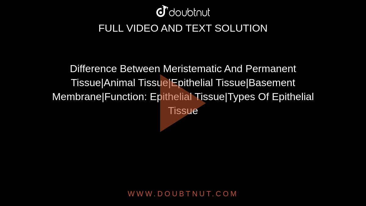 Difference Between Meristematic And Permanent Tissue|Animal Tissue|Epithelial Tissue|Basement Membrane|Function: Epithelial Tissue|Types Of Epithelial Tissue