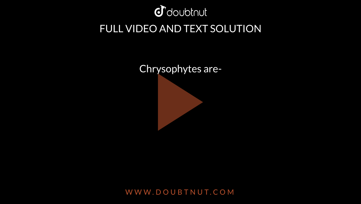Chrysophytes are-