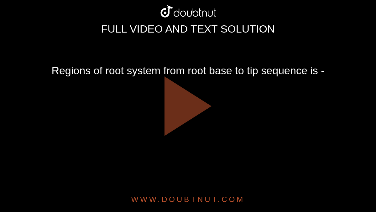 Regions of root system from root base to tip sequence is -