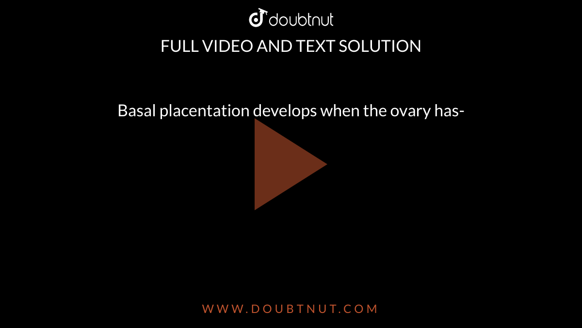 basal-placentation-develops-when-the-ovary-has