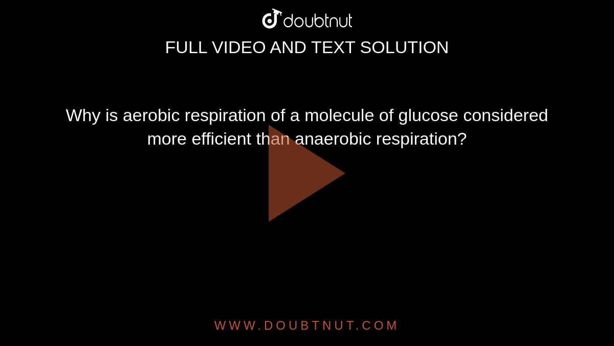 Why is aerobic respiration of a molecule of glucose considered more efficient than anaerobic respiration?