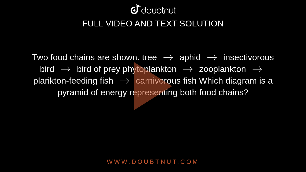 Two food chains are shown. tree rarr aphid rarr insectivorous bird rar