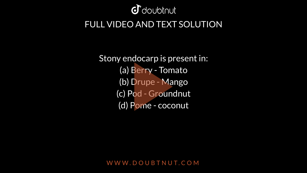 Stony endocarp is present in: <br>(a) Berry - Tomato<br>

(b) Drupe - Mango<br>

(c) Pod - Groundnut<br>

(d) Pome - coconut