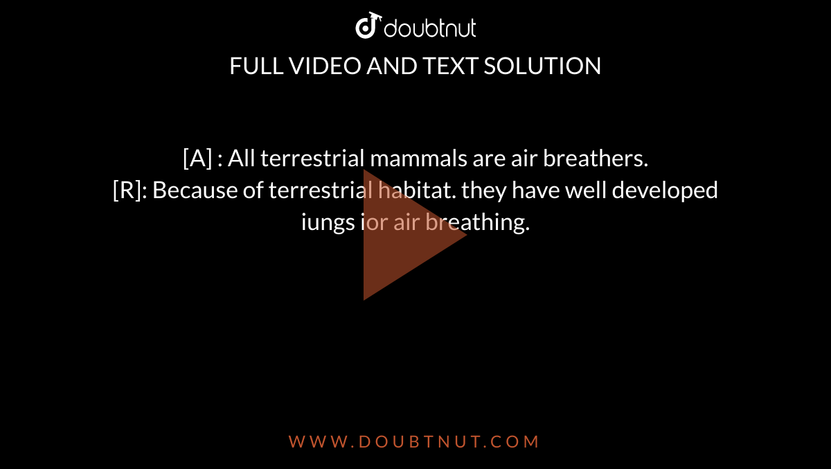[A] : All terrestrial mammals are air breathers. <br>   [R]: Because of terrestrial habitat. they have well developed iungs ior air breathing.