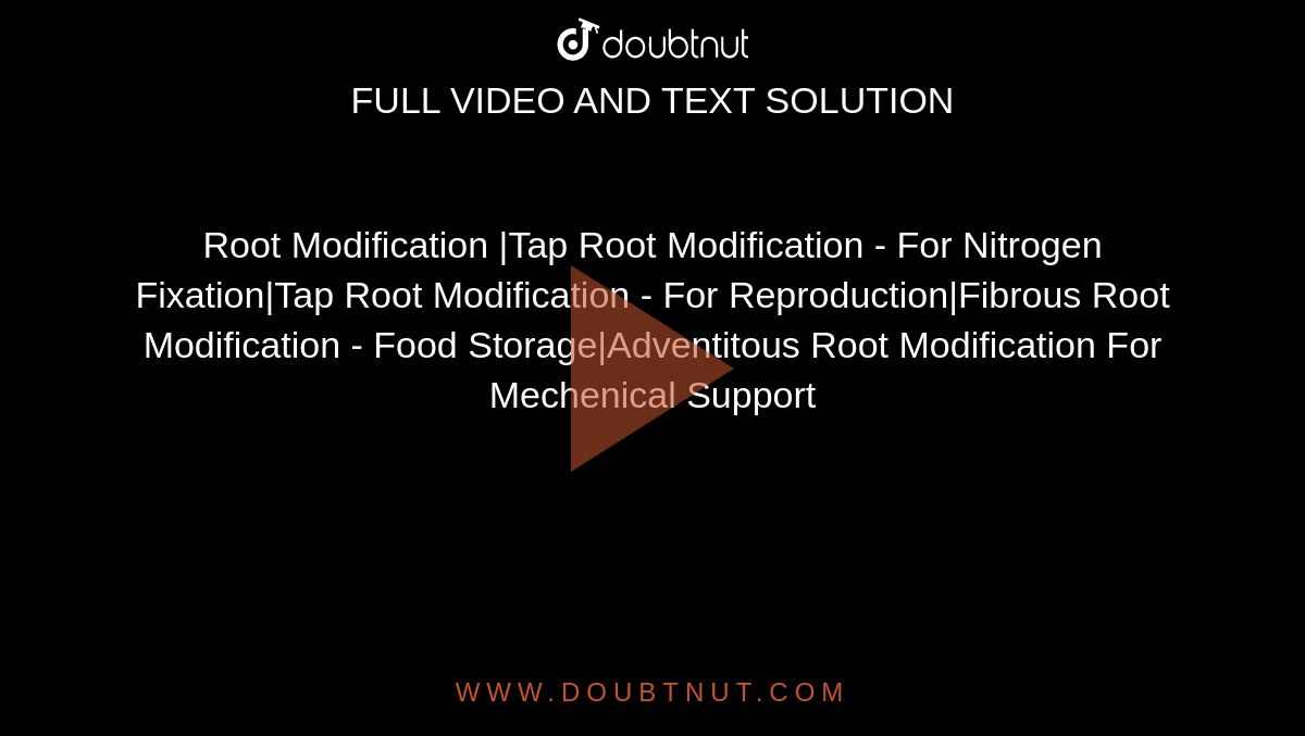 Root Modification |Tap Root Modification - For Nitrogen Fixation|Tap Root Modification - For Reproduction|Fibrous Root Modification - Food Storage|Adventitous Root Modification For Mechenical Support