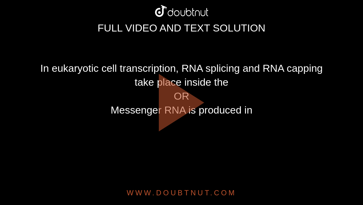 In Eukaryotic Cell Transcription Rna Splicing And Rna Capping Take Pl