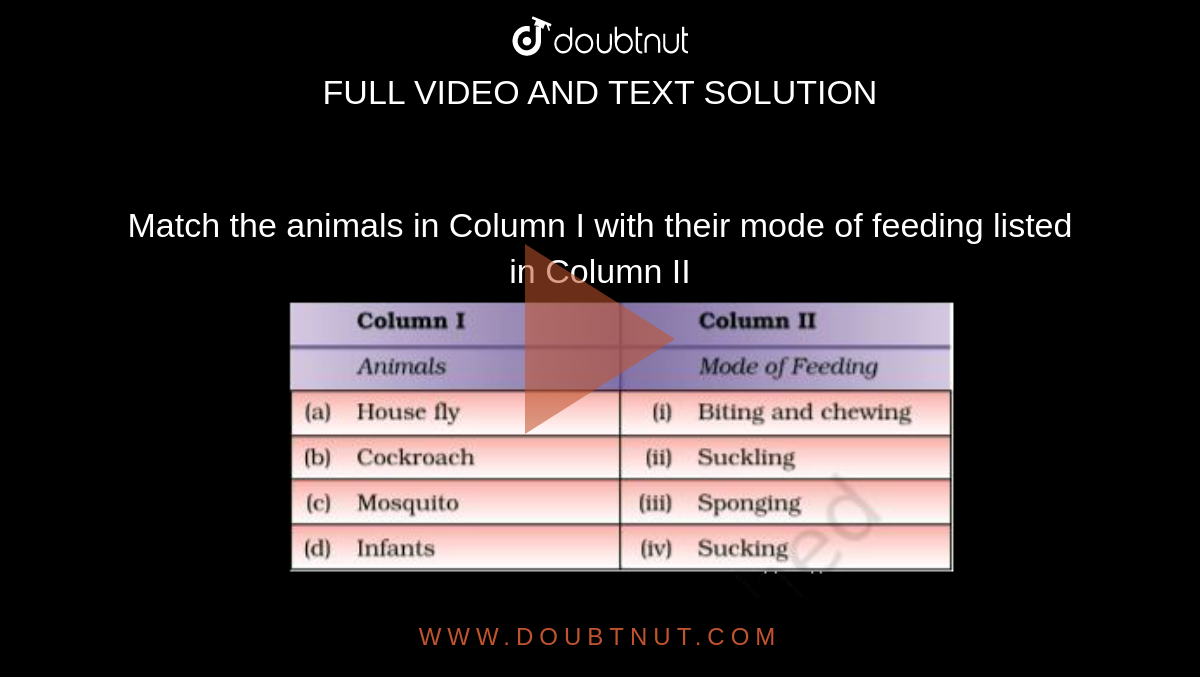 Match the animals in Column I with their mode of feeding listed in Column II