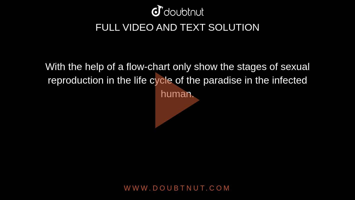 With The Help Of A Flow Chart Only Show The Stages Of Sexual Reproduct 2806