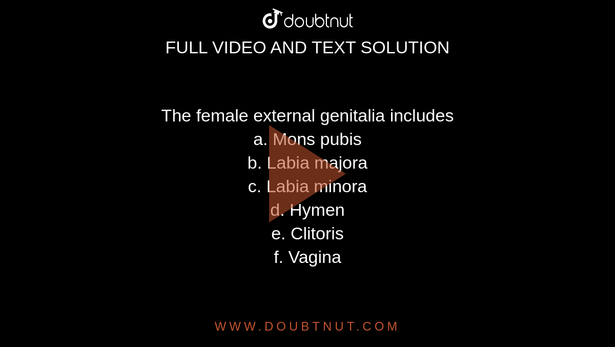 The Female External Genitalia Includes A Mons Pubis B Labia Majora C Labia Minora D Hymen E