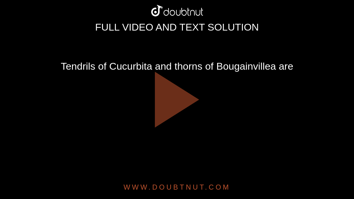 Tendrils of Cucurbita and thorns of Bougainvillea are 