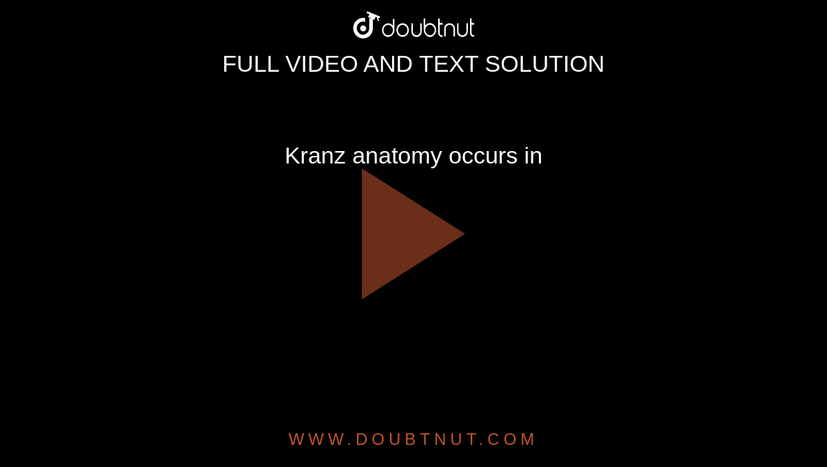Kranz Anatomy Occurs In